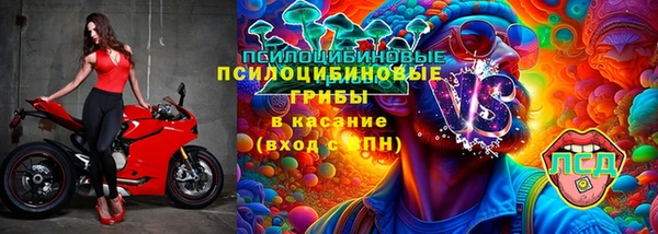 винт Алзамай