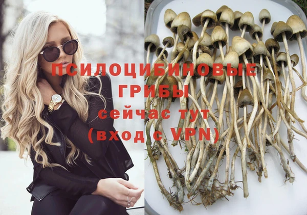 винт Алзамай