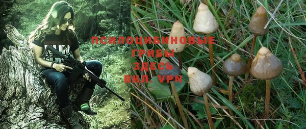 ALPHA PVP Алексин