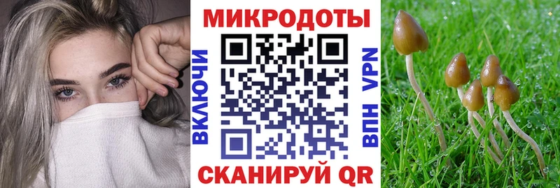 МЕГА сайт  Павловская  Псилоцибиновые грибы Psilocybe 